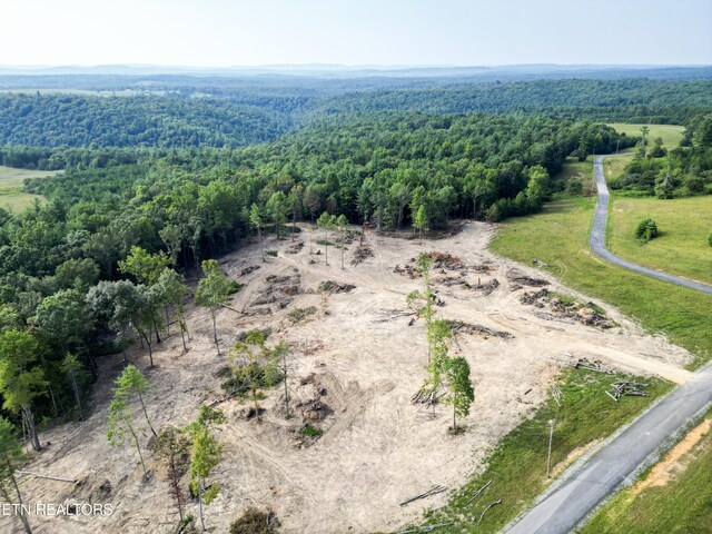 White Creek Dr, Deer Lodge, TN 37726