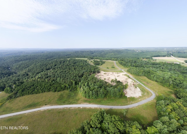 White Creek Dr, Deer Lodge, TN 37726