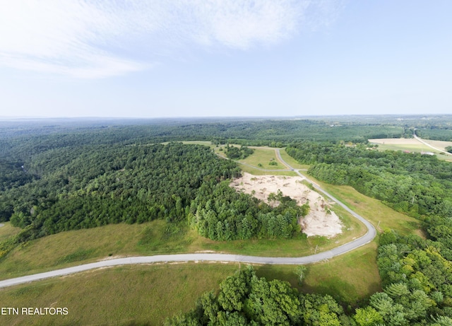White Creek Dr, Deer Lodge, TN 37726