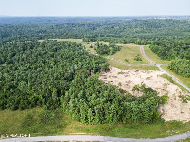 White Creek Dr, Deer Lodge, TN 37726
