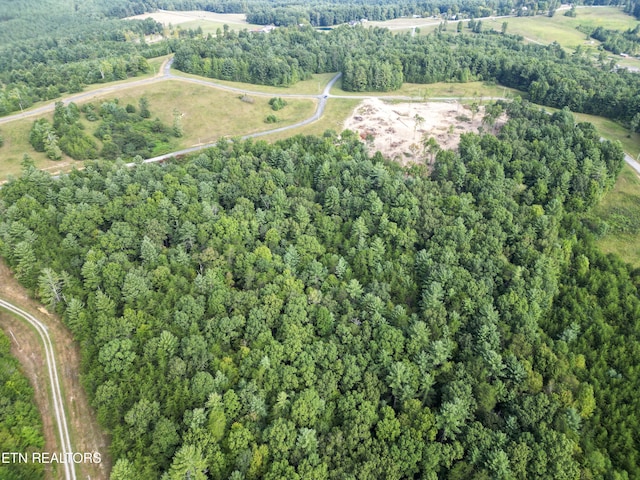 White Creek Dr, Deer Lodge, TN 37726