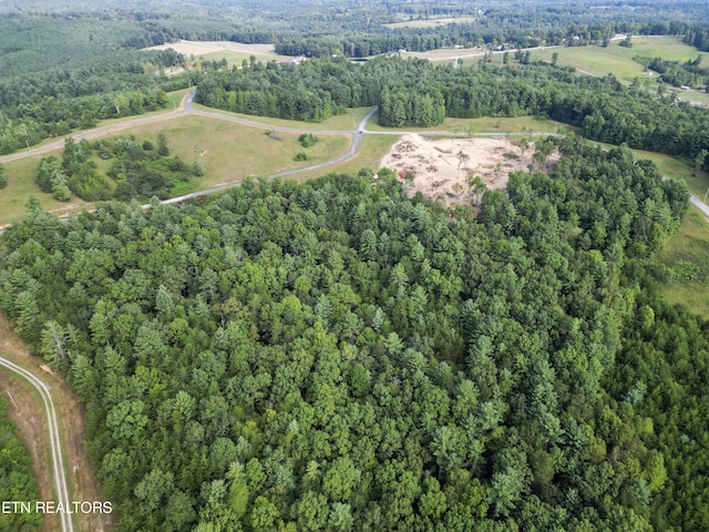 White Creek Dr, Deer Lodge, TN 37726