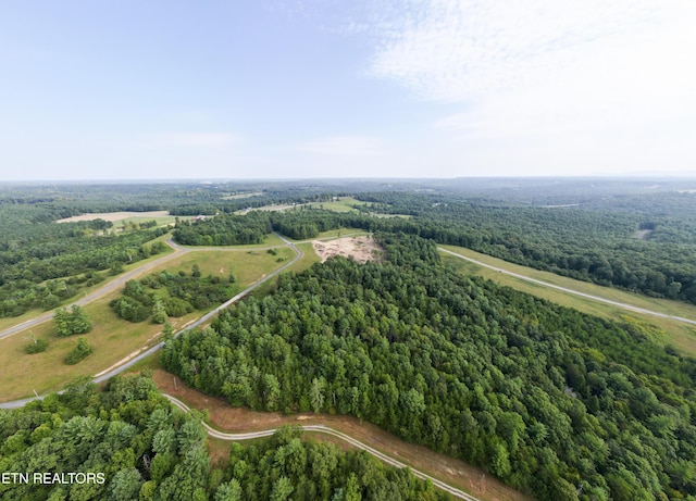 White Creek Dr, Deer Lodge, TN 37726