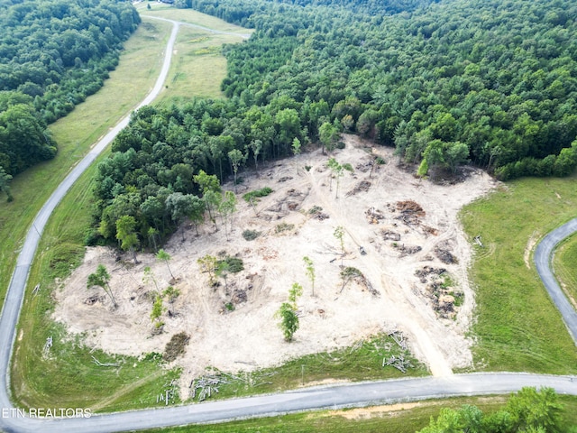 White Creek Dr, Deer Lodge, TN 37726