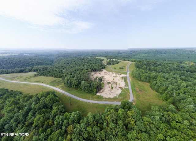 White Creek Dr, Deer Lodge, TN 37726