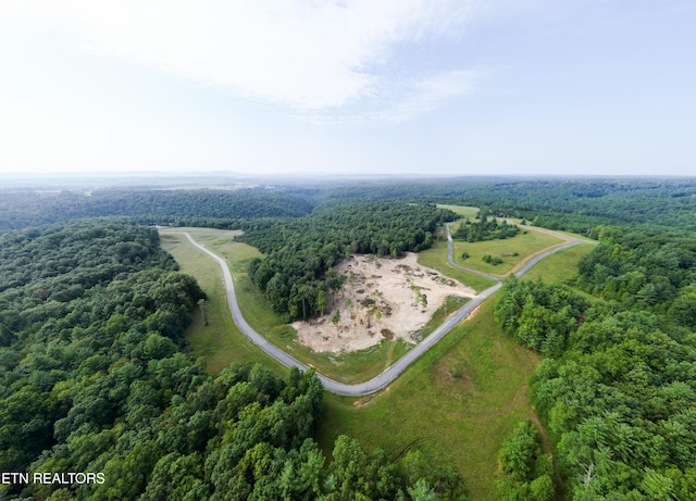 White Creek Dr, Deer Lodge, TN 37726