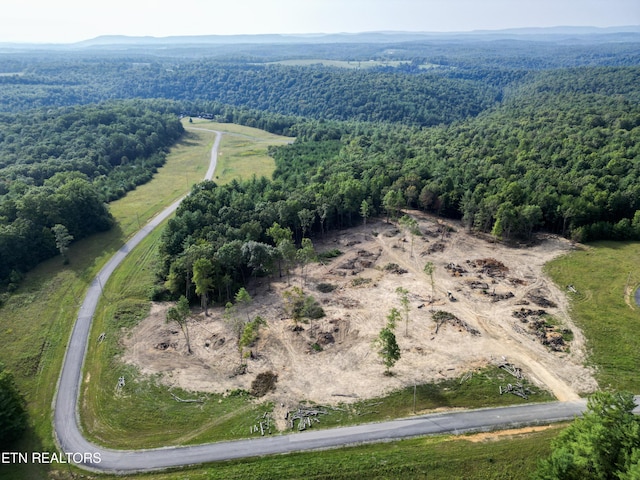 White Creek Dr, Deer Lodge, TN 37726