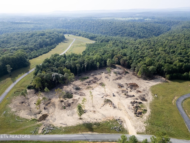 White Creek Dr, Deer Lodge, TN 37726