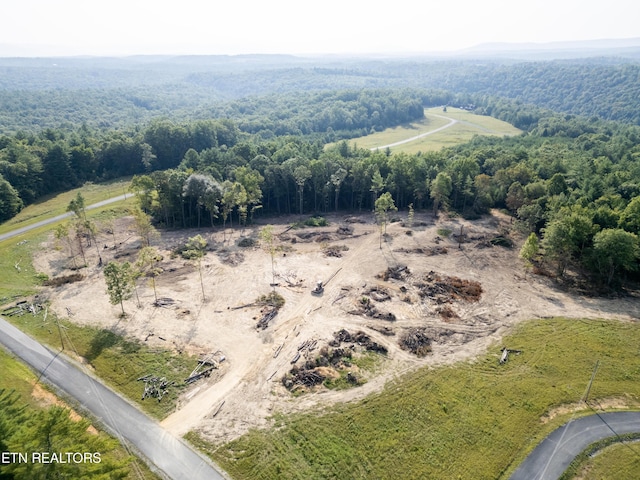 White Creek Dr, Deer Lodge, TN 37726