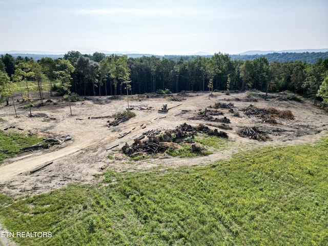 White Creek Dr, Deer Lodge, TN 37726