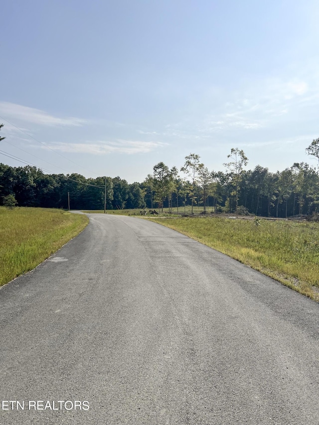 White Creek Dr, Deer Lodge, TN 37726