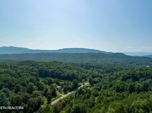 view of mountain feature