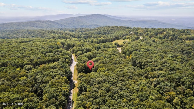 view of mountain feature