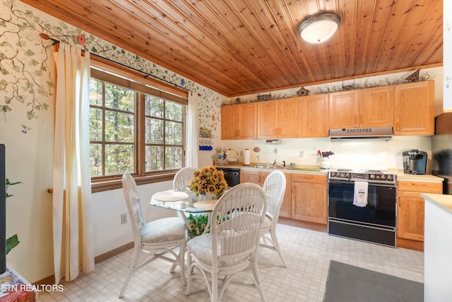 kitchen with wooden ceiling, black appliances, and ventilation hood