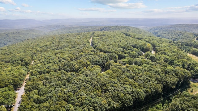 drone / aerial view with a mountain view