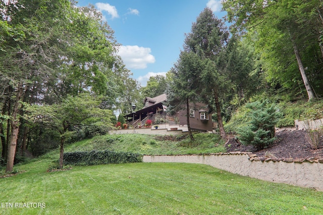 3138 Cool Creek Rd, Sevierville, TN 37862 - view of yard