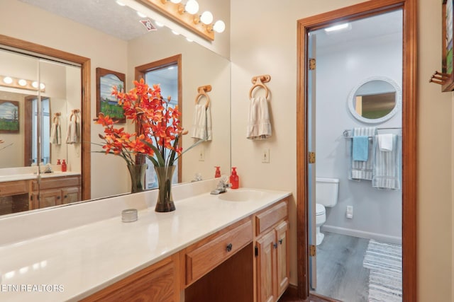 bathroom with vanity, toilet, and wood-type flooring