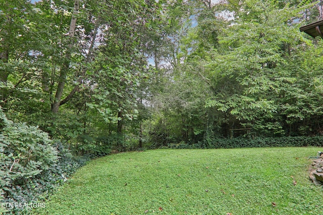3138 Cool Creek Rd, Sevierville, TN 37862 - view of yard