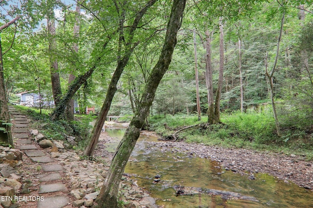 3138 Cool Creek Rd, Sevierville, TN 37862 - view of local wilderness with a forest view