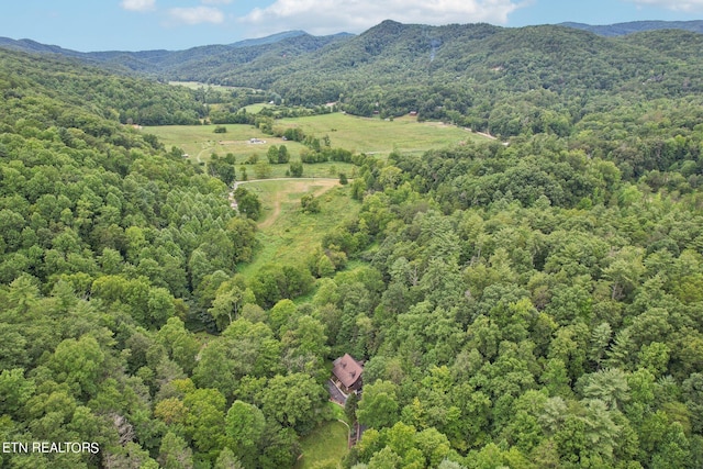 3138 Cool Creek Rd, Sevierville, TN 37862 - drone / aerial view featuring a wooded view and a mountain view