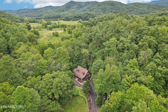 aerial view with a mountain view