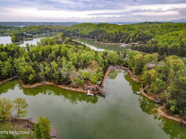 bird's eye view featuring a water view and a wooded view