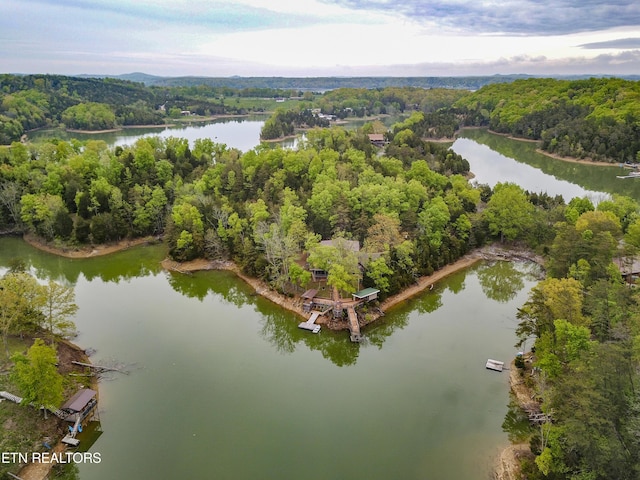 birds eye view of property with a wooded view and a water view