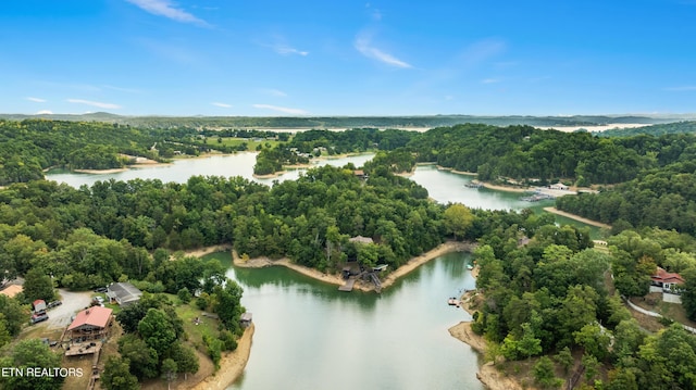 drone / aerial view with a water view and a forest view