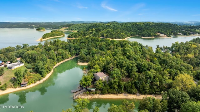 drone / aerial view featuring a water view and a view of trees