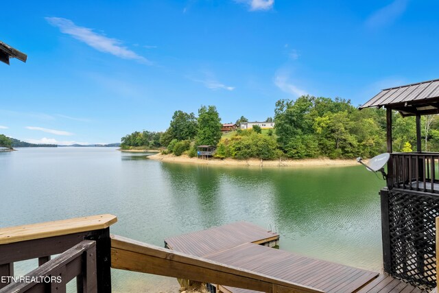 dock area with a water view