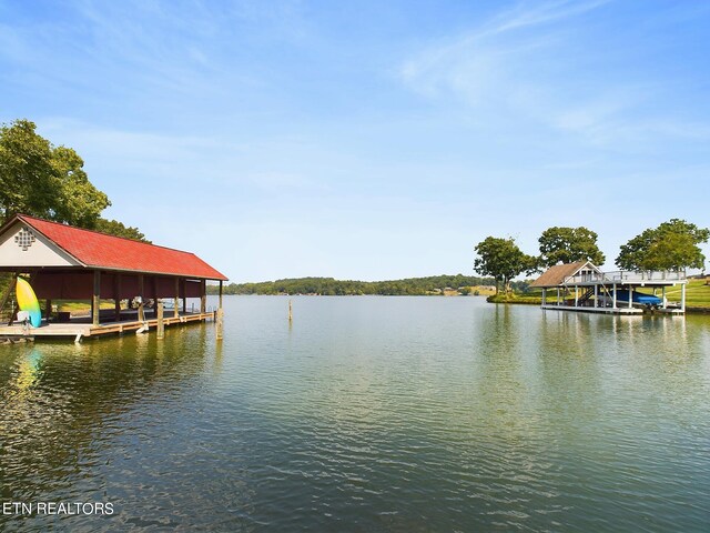 dock area with a water view