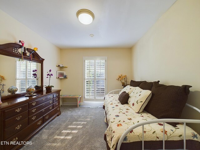 carpeted bedroom featuring multiple windows