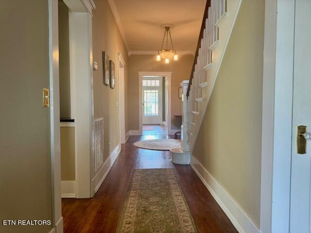 doorway featuring dark hardwood / wood-style floors and ornamental molding