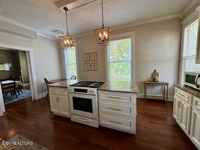 kitchen featuring white appliances, hanging light fixtures, dark wood-type flooring, and a healthy amount of sunlight