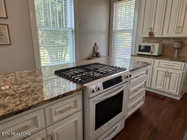 kitchen with decorative backsplash, light stone countertops, plenty of natural light, and stainless steel stove