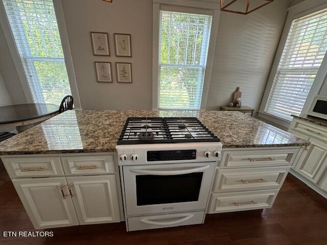 kitchen featuring light stone countertops, dark hardwood / wood-style flooring, high end stove, and white cabinets