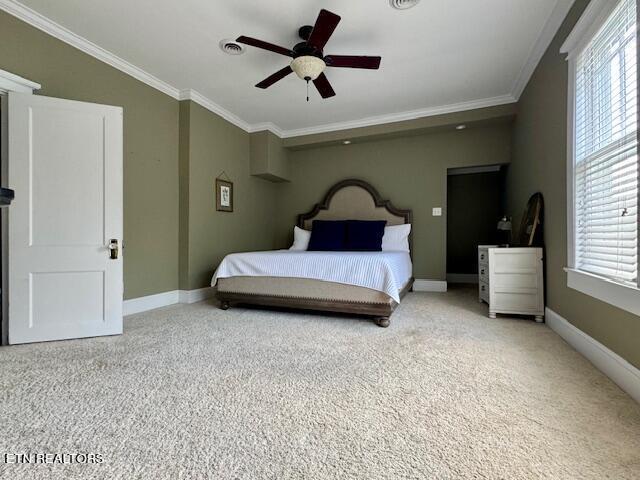 carpeted bedroom with multiple windows, ceiling fan, and crown molding