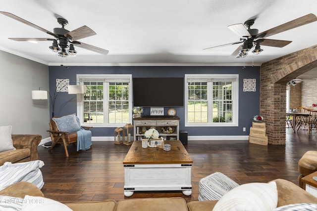 living room with ceiling fan, dark hardwood / wood-style flooring, and ornamental molding