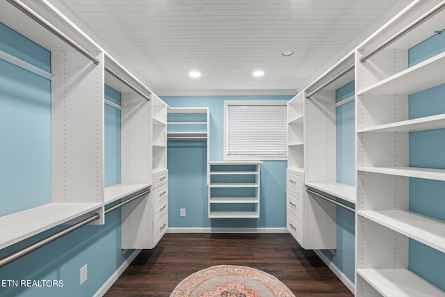 spacious closet with dark wood-type flooring