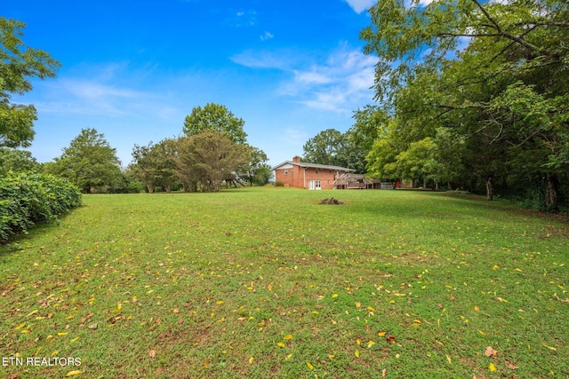 view of yard