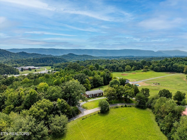 drone / aerial view featuring a mountain view