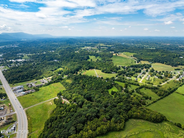 aerial view with a mountain view