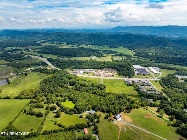 birds eye view of property with a rural view and a mountain view