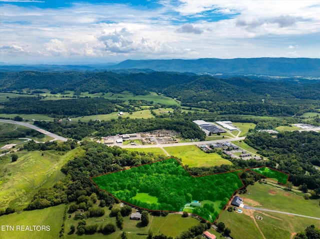 bird's eye view featuring a mountain view