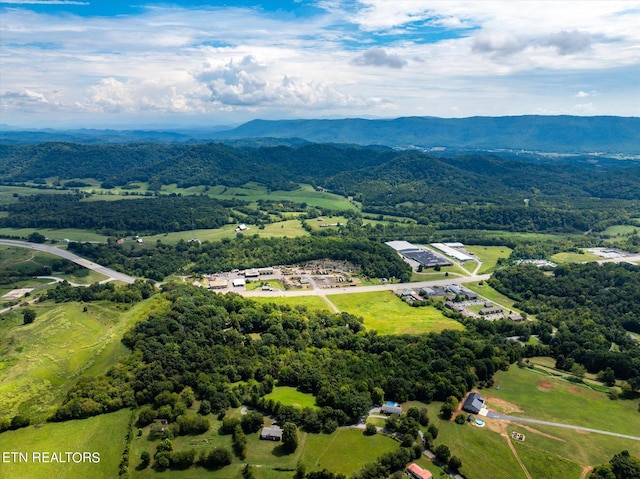 drone / aerial view featuring a mountain view