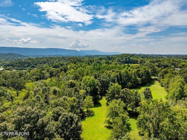 bird's eye view featuring a mountain view