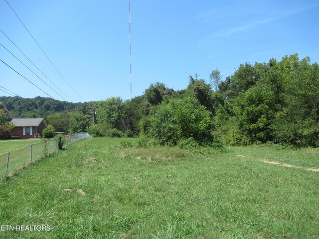 view of yard featuring a rural view