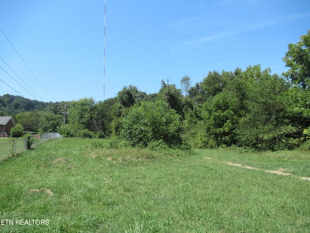 10827 Rutledge Pike, Blaine, TN 37709 - view of yard with a view of trees and fence