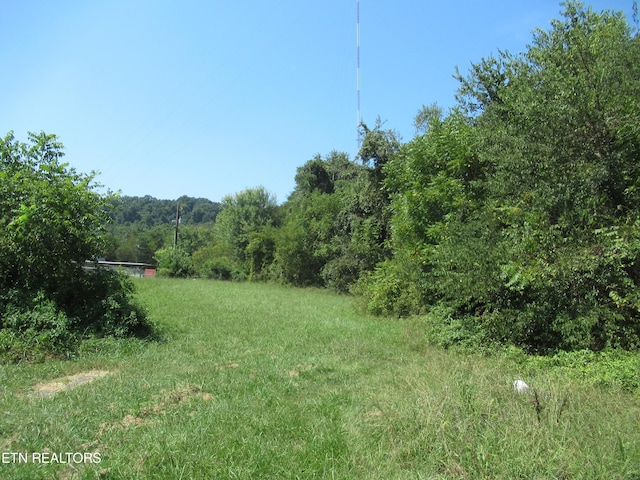 10827 Rutledge Pike, Blaine, TN 37709 - view of yard with a wooded view