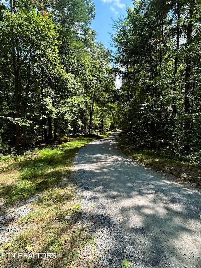 Listing photo 3 for 31.54ACRE Chestnut Mountain Rd, Reliance TN 37369